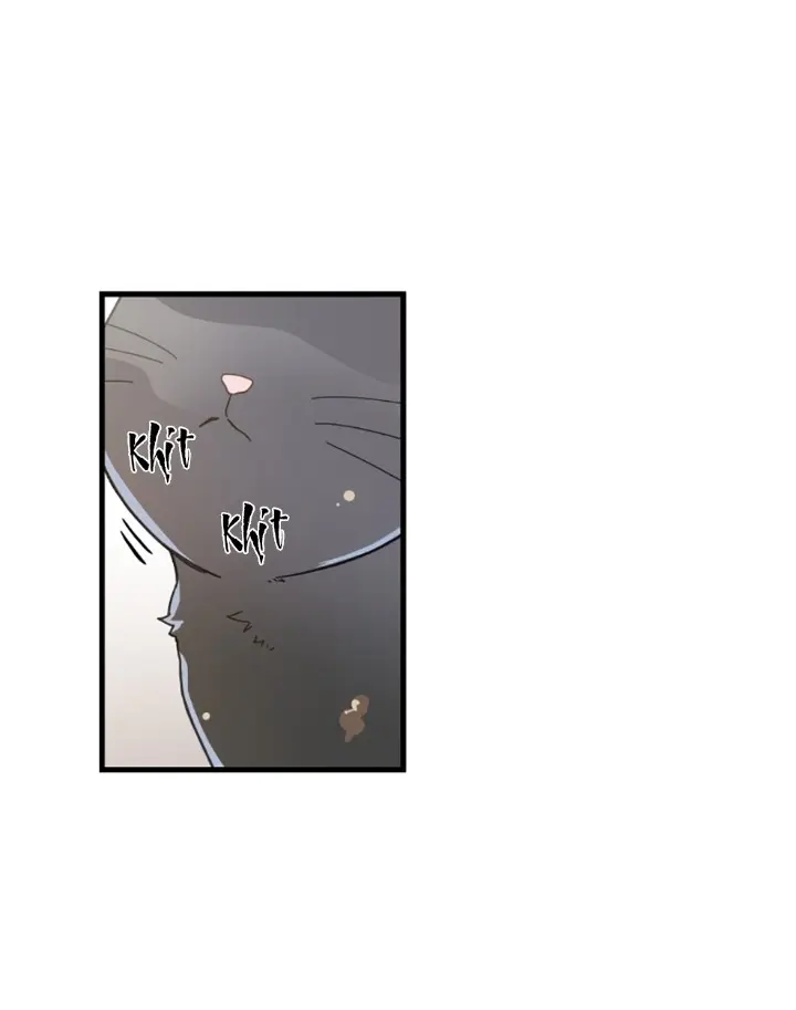 Meu Único Gato – Capítulo 20 Yaoi – Página 38