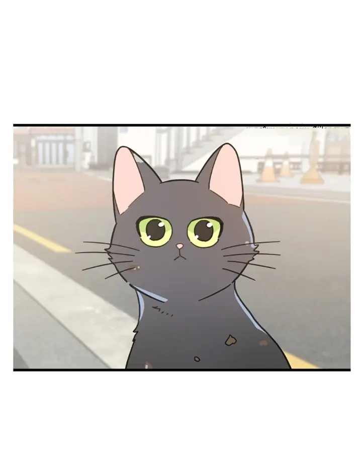 Meu Único Gato – Capítulo 20 Yaoi – Página 43