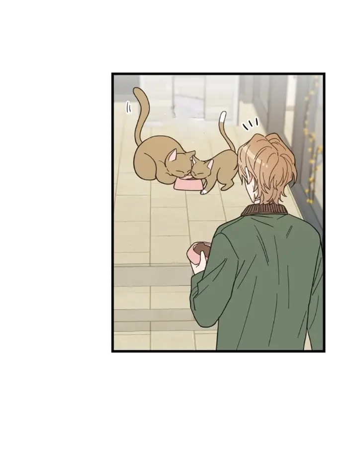 Meu Único Gato – Capítulo 20 Yaoi – Página 48