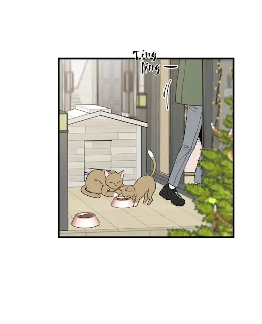 Meu Único Gato – Capítulo 20 Yaoi – Página 53