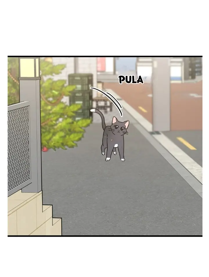 Meu Único Gato – Capítulo 20 Yaoi – Página 54