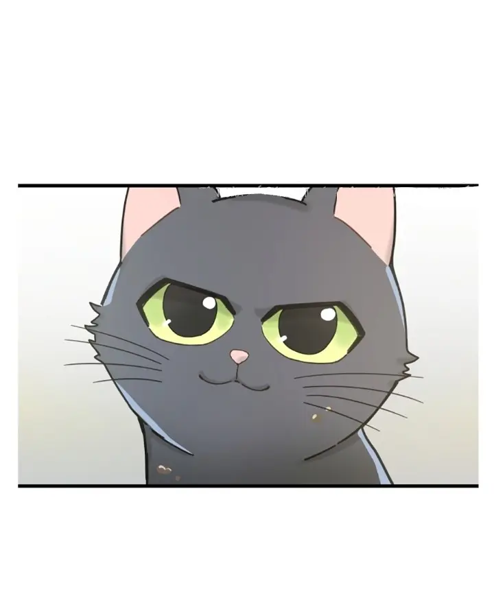 Meu Único Gato – Capítulo 20 Yaoi – Página 55