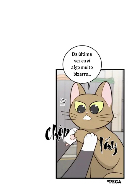 Meu Único Gato – Capítulo 21 Yaoi – Página 11