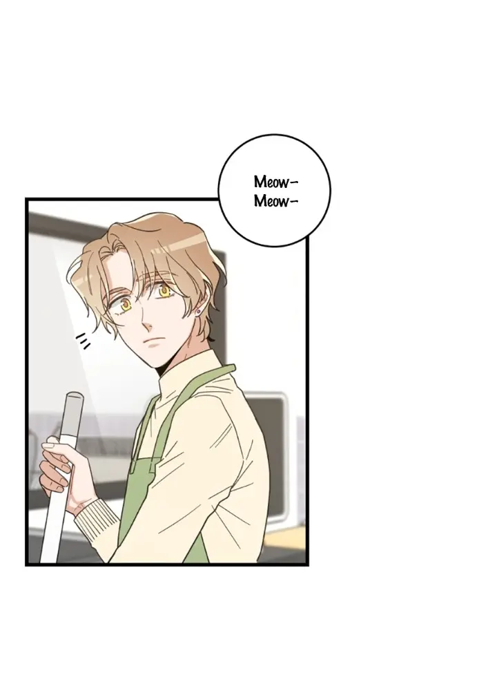 Meu Único Gato – Capítulo 21 Yaoi – Página 14