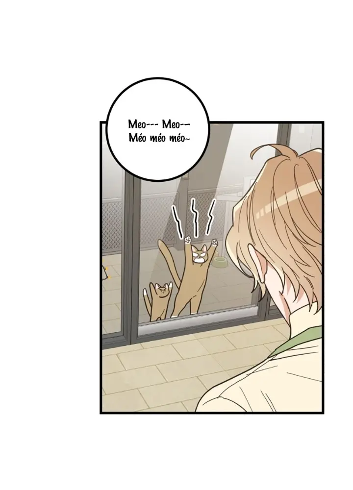 Meu Único Gato – Capítulo 21 Yaoi – Página 15