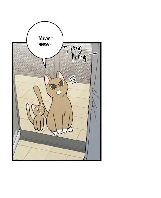 Meu Único Gato – Capítulo 21 Yaoi – Página 17