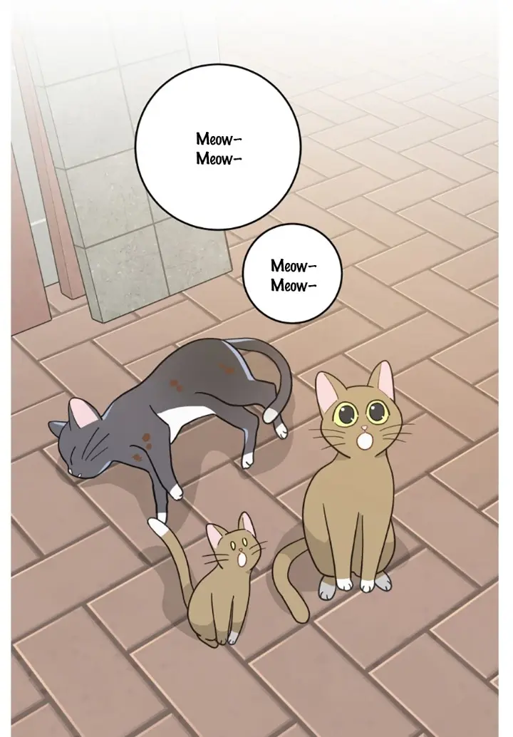 Meu Único Gato – Capítulo 21 Yaoi – Página 23