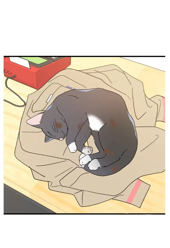 Meu Único Gato – Capítulo 21 Yaoi – Página 34