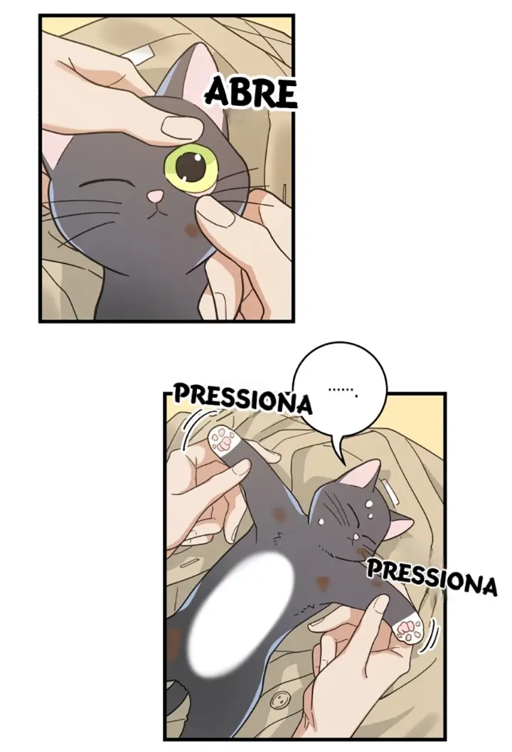 Meu Único Gato – Capítulo 21 Yaoi – Página 35