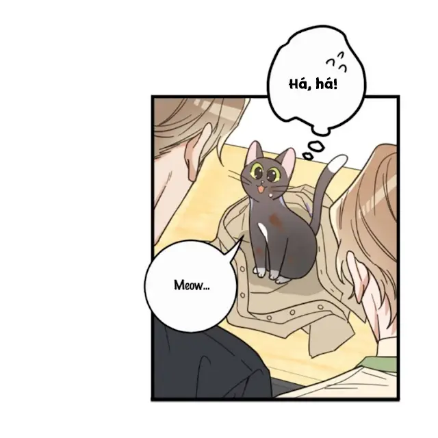 Meu Único Gato – Capítulo 21 Yaoi – Página 39