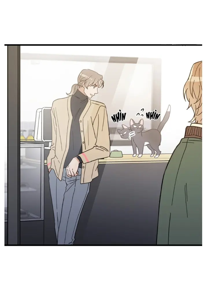 Meu Único Gato – Capítulo 21 Yaoi – Página 53