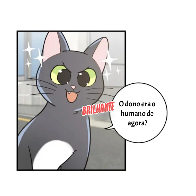 Meu Único Gato – Capítulo 21 Yaoi – Página 8