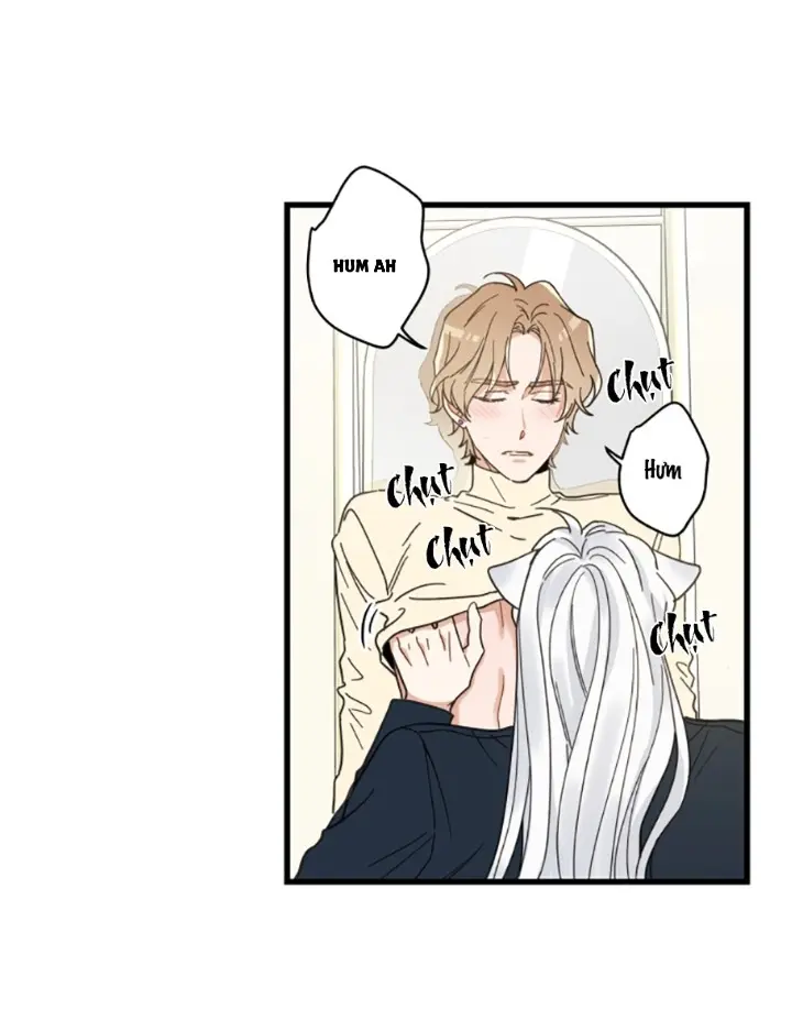 Meu Único Gato – Capítulo 22 Yaoi – Página 27