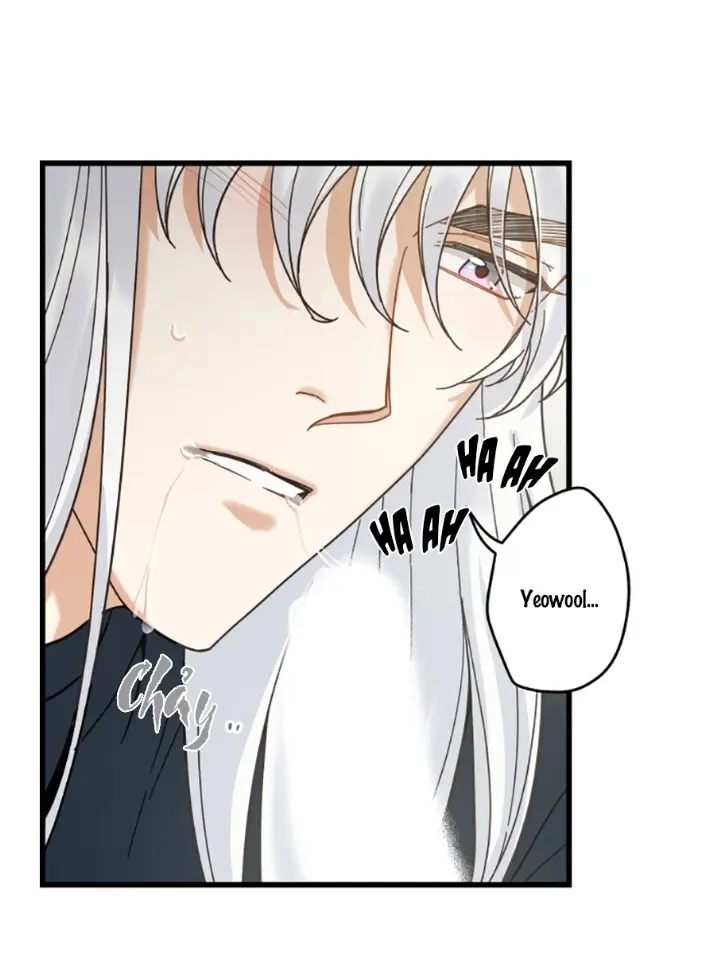 Meu Único Gato – Capítulo 22 Yaoi – Página 37