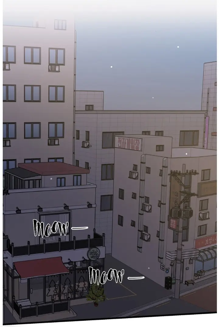 Meu Único Gato – Capítulo 22 Yaoi – Página 47