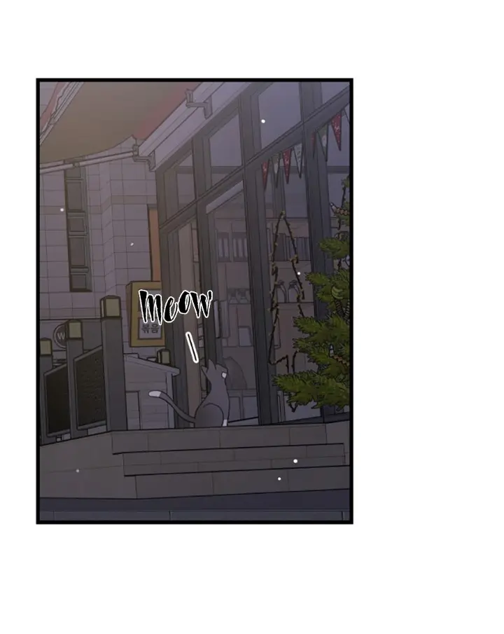 Meu Único Gato – Capítulo 22 Yaoi – Página 48