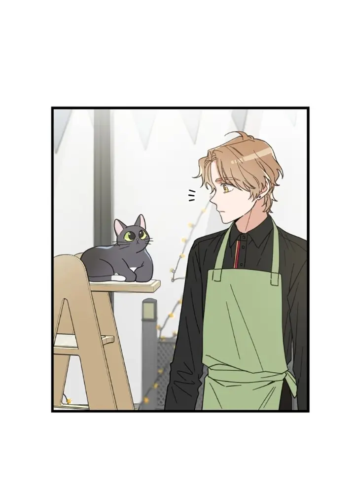 Meu Único Gato – Capítulo 23 Yaoi – Página 13