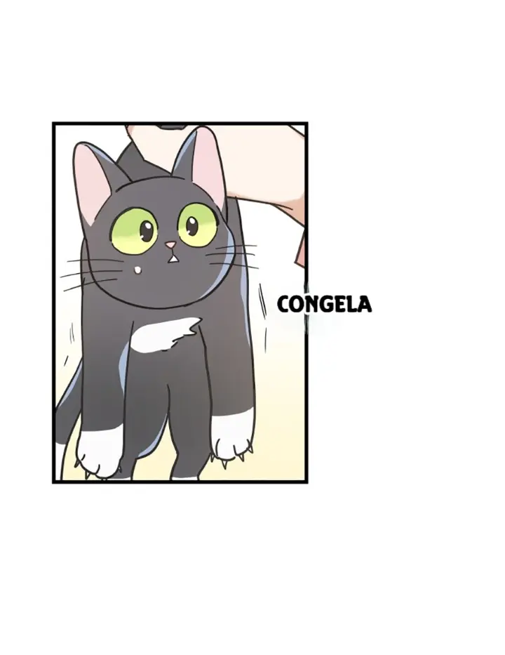 Meu Único Gato – Capítulo 23 Yaoi – Página 52