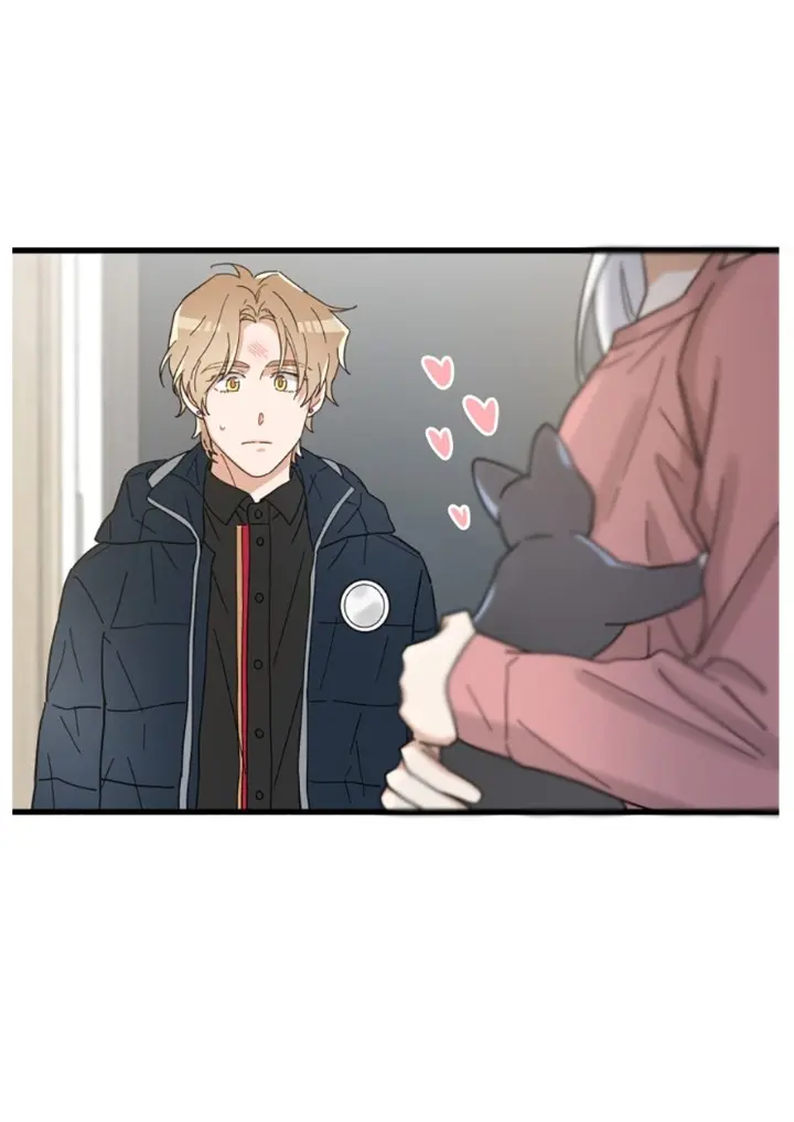 Meu Único Gato – Capítulo 23 Yaoi – Página 61