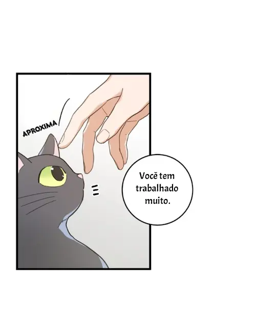 Meu Único Gato – Capítulo 24 Yaoi – Página 11