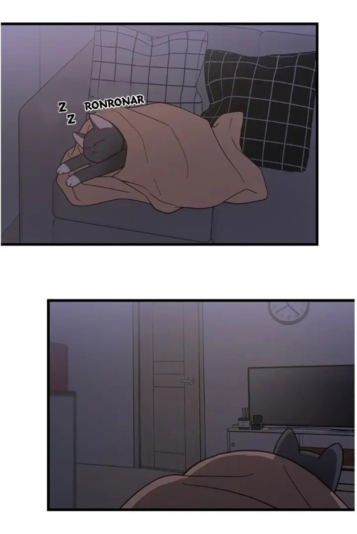 Meu Único Gato – Capítulo 24 Yaoi – Página 30