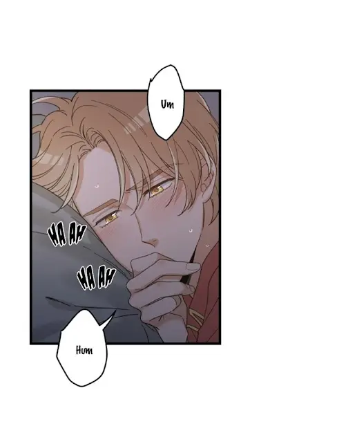 Meu Único Gato – Capítulo 24 Yaoi – Página 48