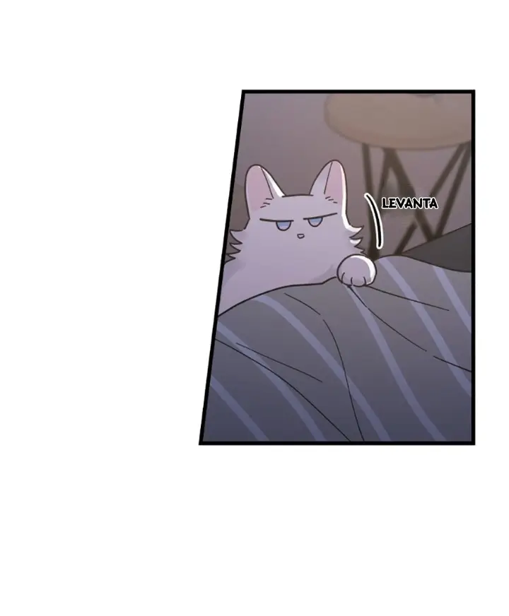 Meu Único Gato – Capítulo 25 Yaoi – Página 17