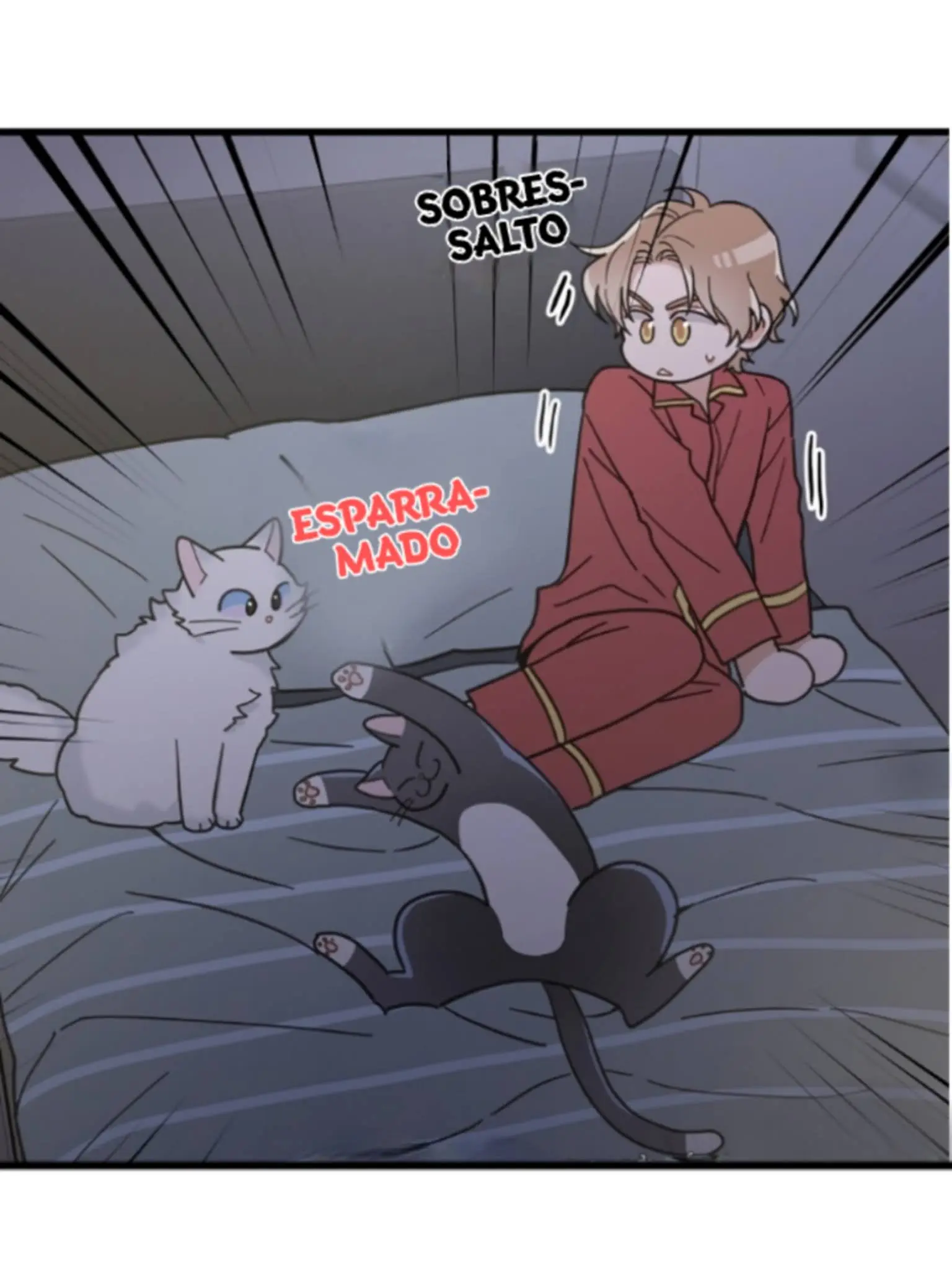 Meu Único Gato – Capítulo 25 Yaoi – Página 24