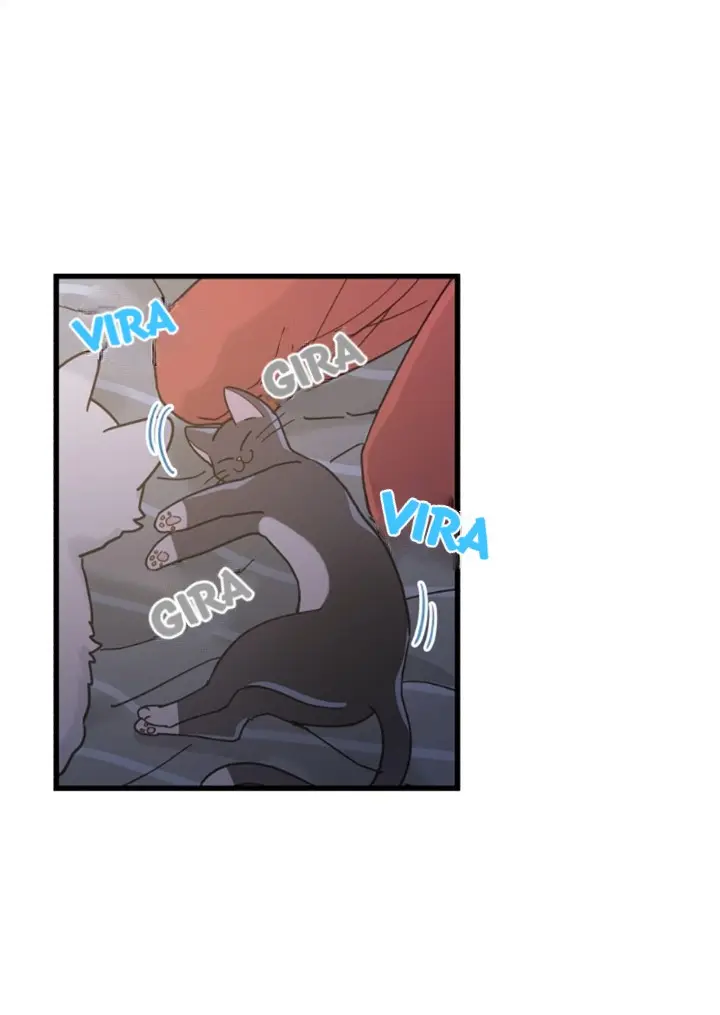 Meu Único Gato – Capítulo 25 Yaoi – Página 25