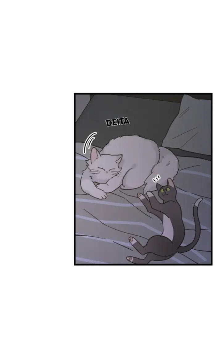 Meu Único Gato – Capítulo 25 Yaoi – Página 31