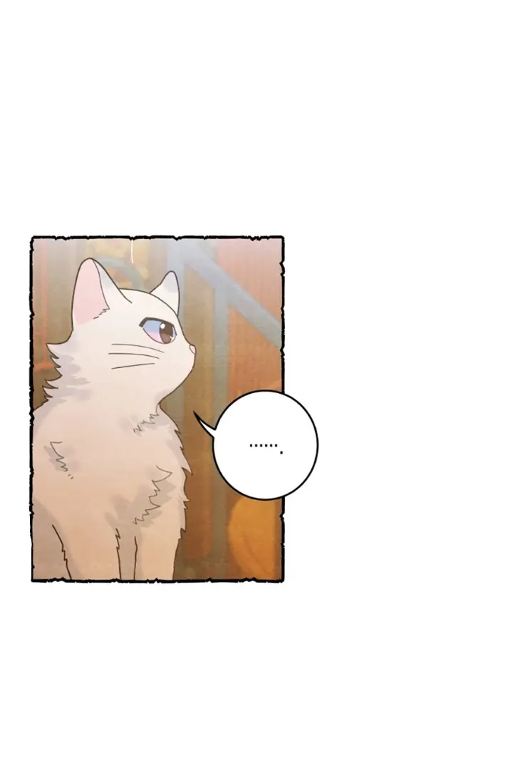 Meu Único Gato – Capítulo 25 Yaoi – Página 4