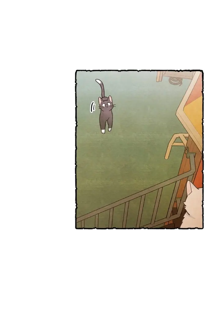 Meu Único Gato – Capítulo 25 Yaoi – Página 5