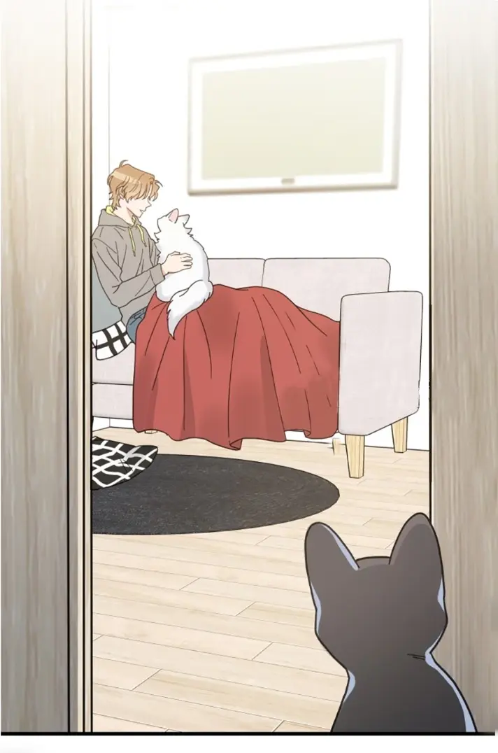 Meu Único Gato – Capítulo 25 Yaoi – Página 58