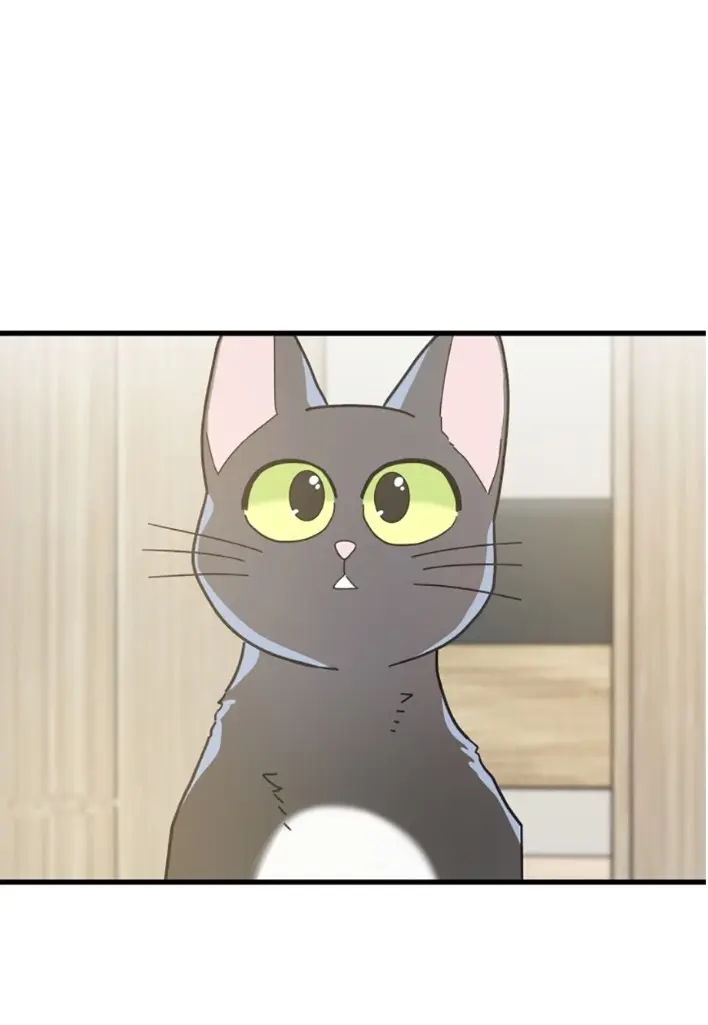 Meu Único Gato – Capítulo 25 Yaoi – Página 64