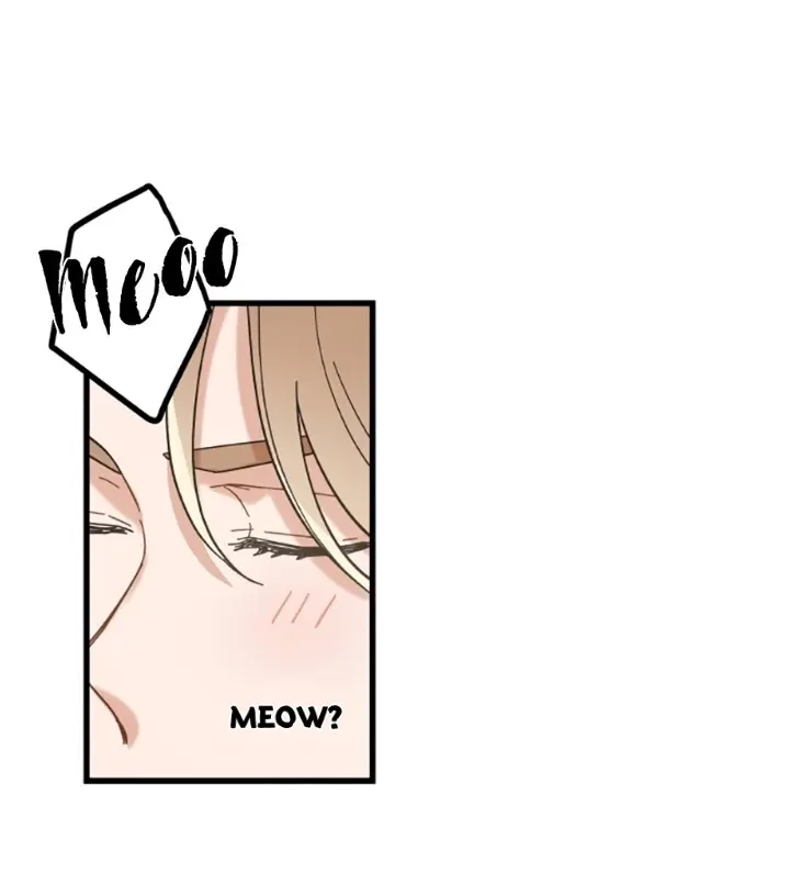 Meu Único Gato – Capítulo 26 Yaoi – Página 14