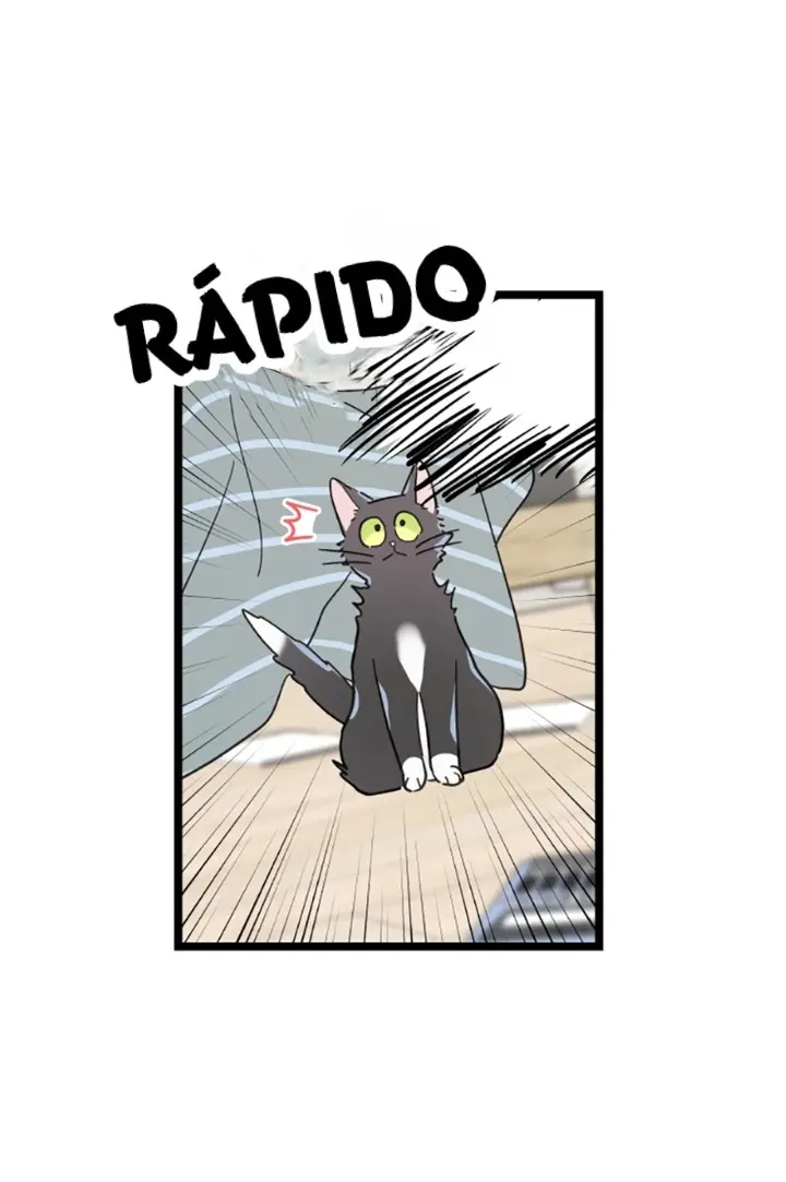 Meu Único Gato – Capítulo 26 Yaoi – Página 61