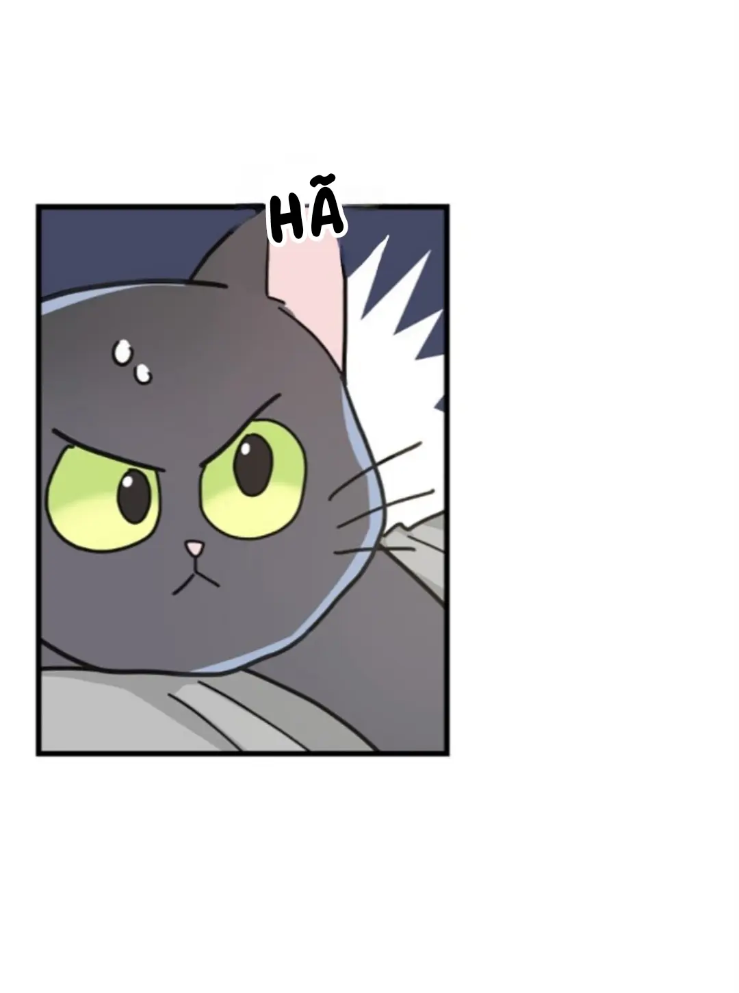 Meu Único Gato – Capítulo 27 Yaoi – Página 15