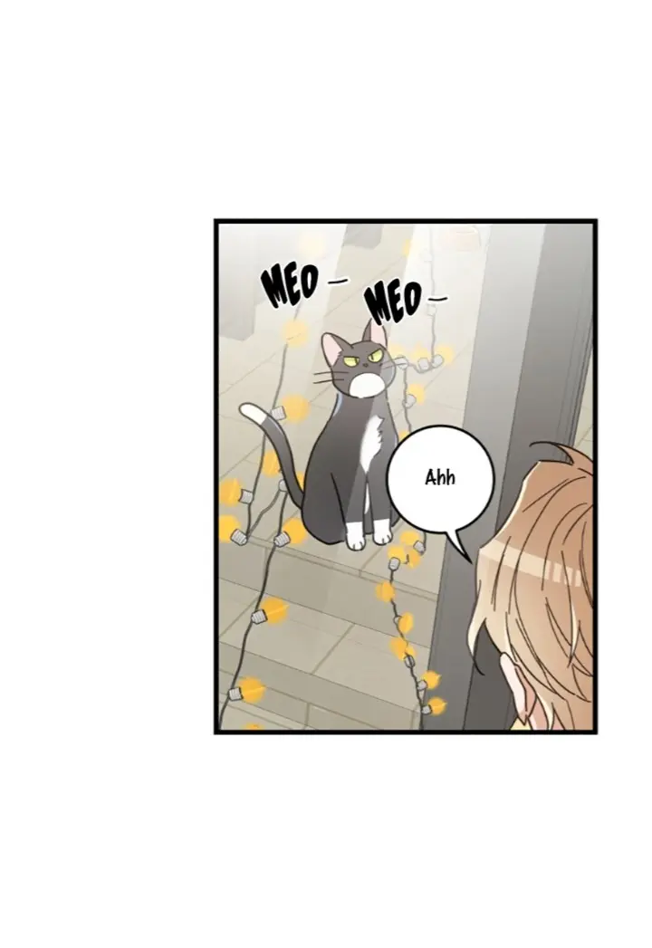 Meu Único Gato – Capítulo 27 Yaoi – Página 48