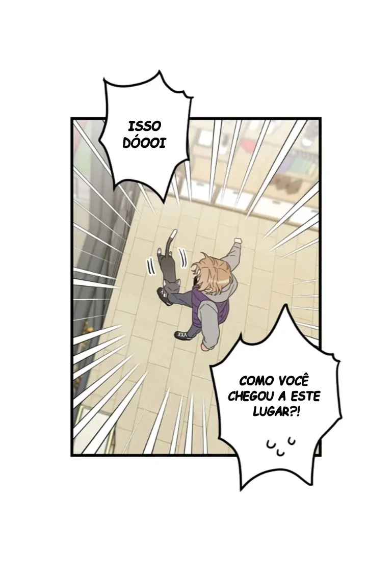 Meu Único Gato – Capítulo 27 Yaoi – Página 52