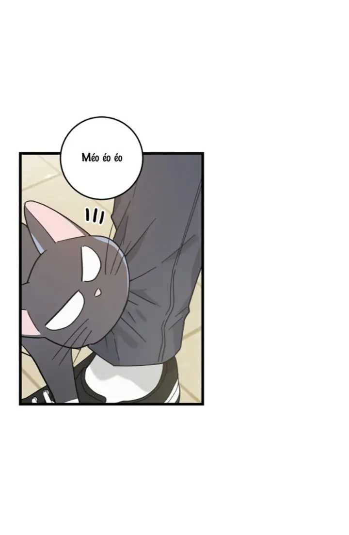 Meu Único Gato – Capítulo 27 Yaoi – Página 53
