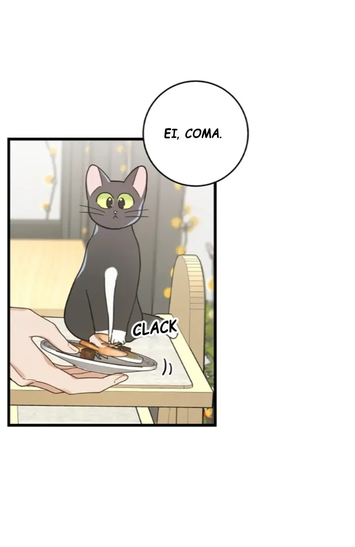 Meu Único Gato – Capítulo 27 Yaoi – Página 57