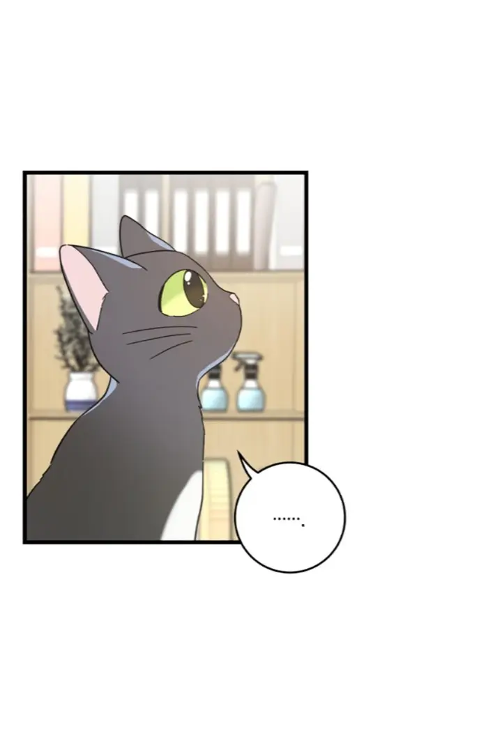 Meu Único Gato – Capítulo 27 Yaoi – Página 59