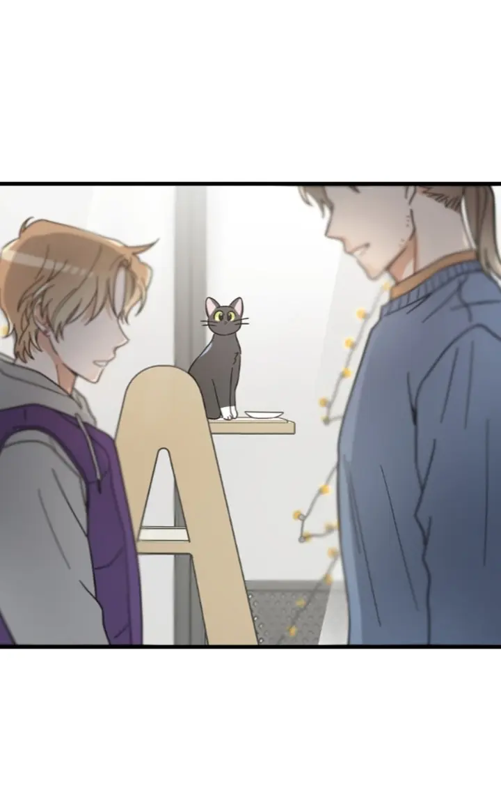 Meu Único Gato – Capítulo 27 Yaoi – Página 64