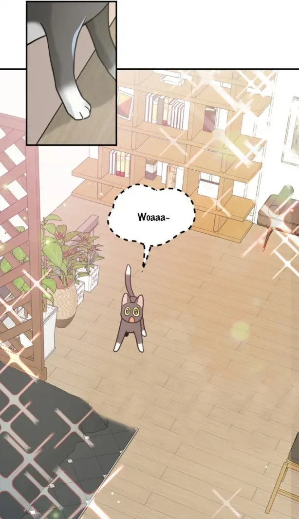 Meu Único Gato – Capítulo 28 Yaoi – Página 11