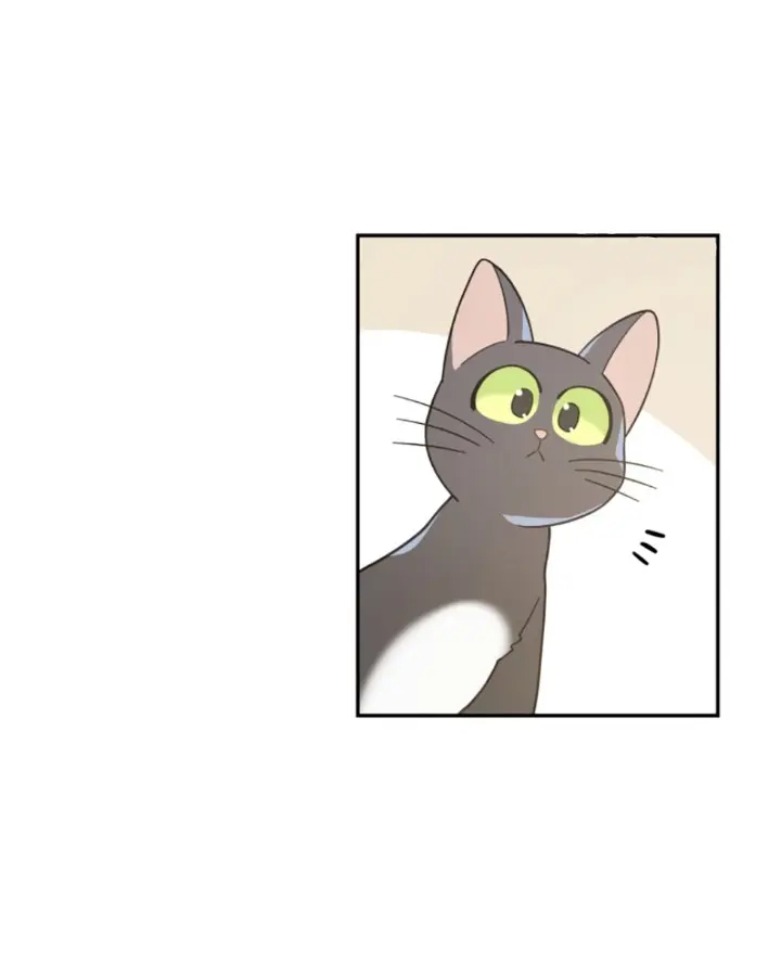 Meu Único Gato – Capítulo 28 Yaoi – Página 6