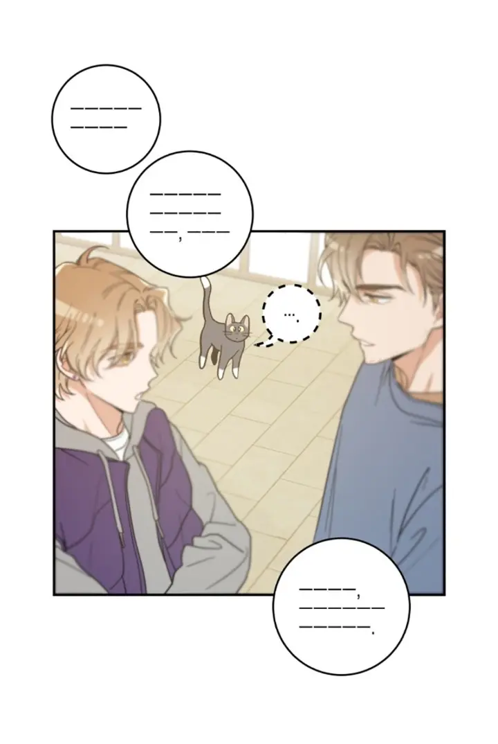 Meu Único Gato – Capítulo 28 Yaoi – Página 8