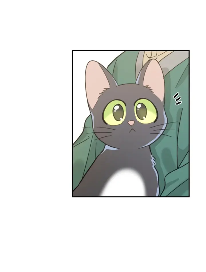 Meu Único Gato – Capítulo 29 Yaoi – Página 44