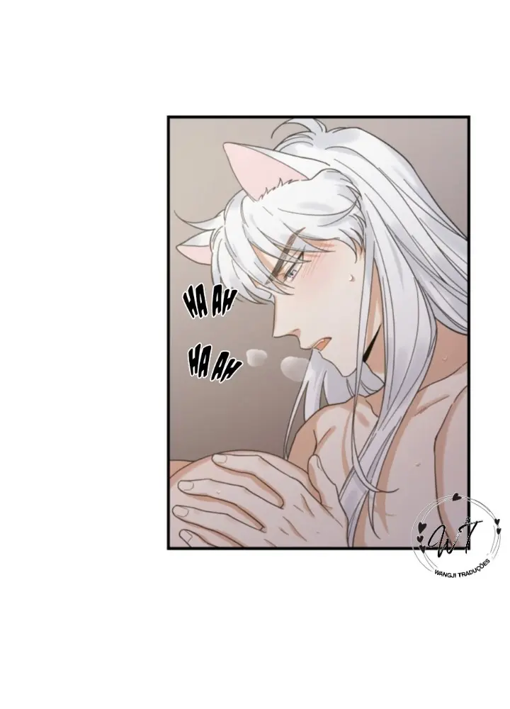 Meu Único Gato – Capítulo 31 Yaoi – Página 32