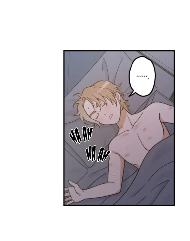 Meu Único Gato – Capítulo 32 Yaoi – Página 36