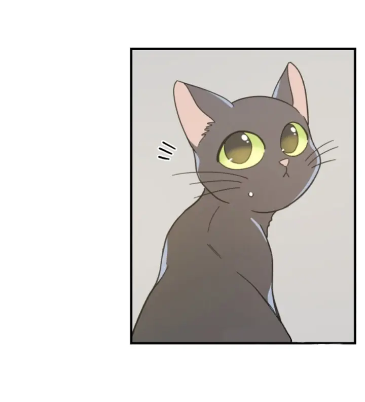 Meu Único Gato – Capítulo 32 Yaoi – Página 51